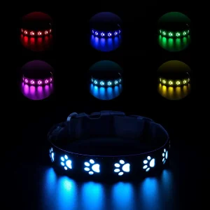 Rechargeable LED Dog Collar 3 color 6 modes
